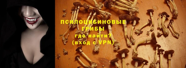 ALPHA PVP Бугульма